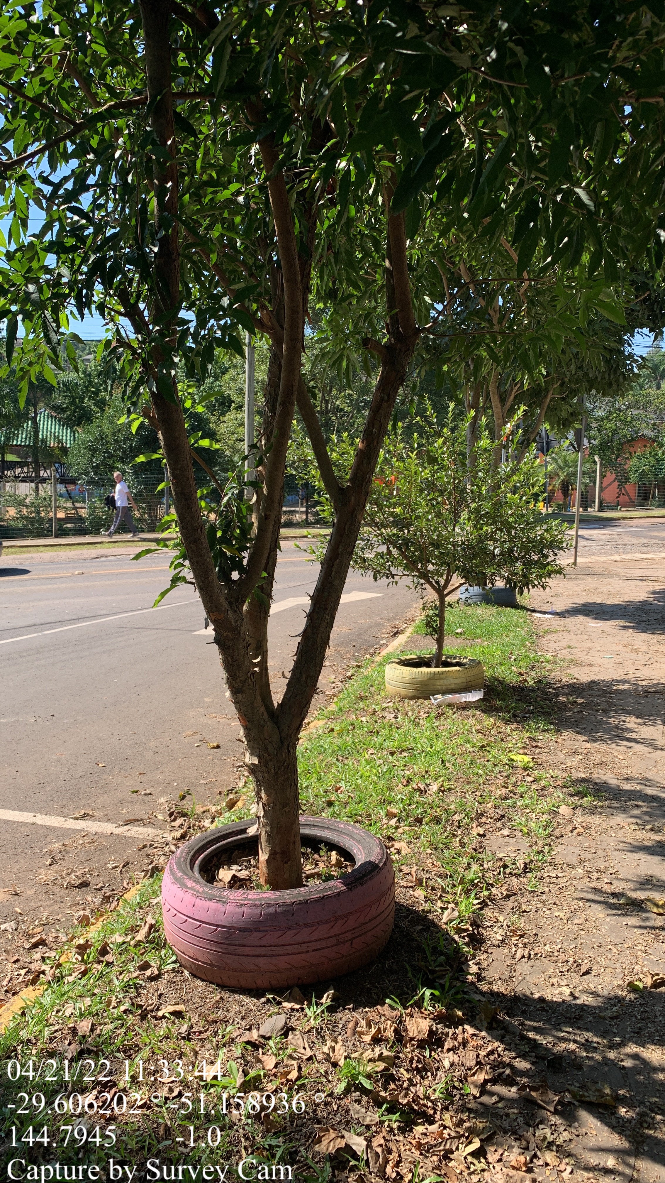 Nicho feito com pneu